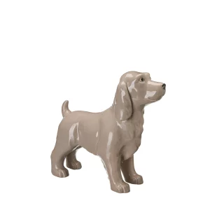 Jacky hund beige