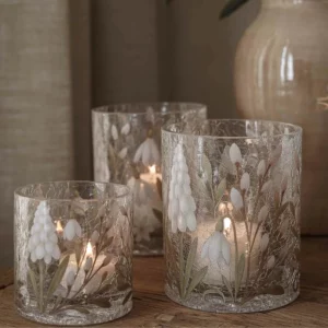 Lykta pärlisar liten