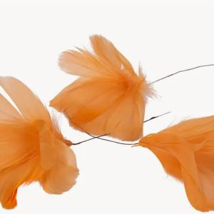 Fjäderblomma orange