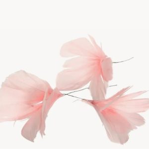 Fjäderblomma ljusrosa