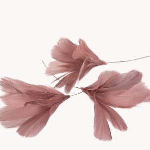 Fjäderblomma gammelrosa