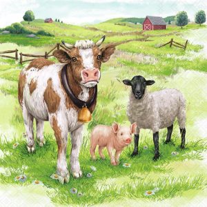 Servetter bondgården