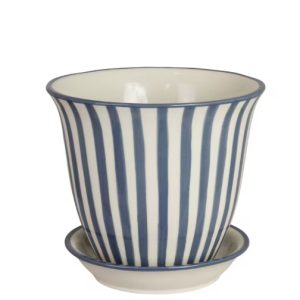 Kruka miriam blå mellan