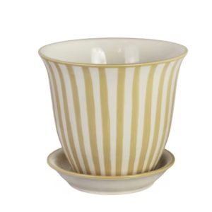 Kruka miriam gul mellan