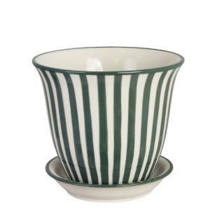 Kruka miriam grön mellan