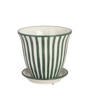 Kruka miriam grön liten