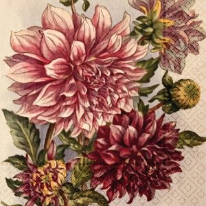 Servetter dahlia