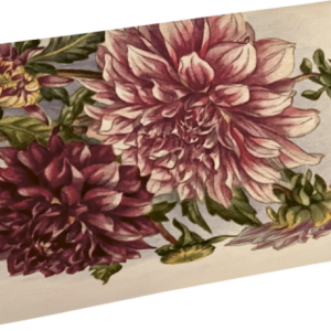 Tvål Dahlia