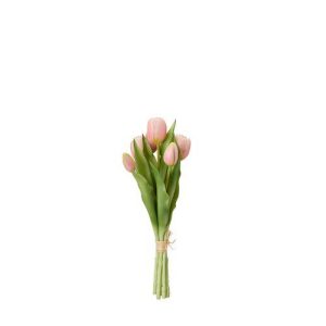 Tulpaner 7-pack ljusrosa