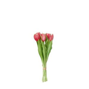 Tulpaner 7-pack rosa