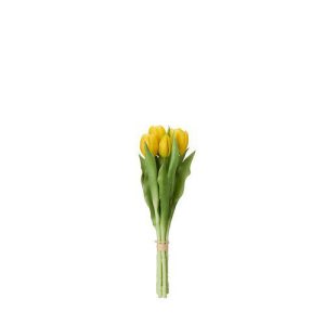 Tulpaner 7-pack gula