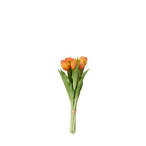 Tulpaner 7-pack orange