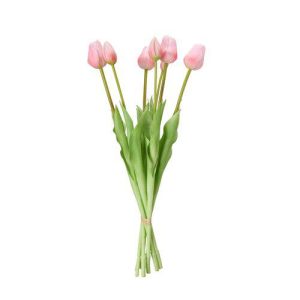 Tulpaner 7-pack