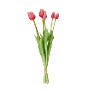 Tulpaner 7-pack rosa