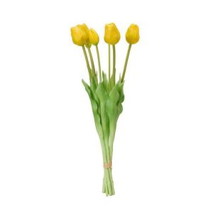 Tulpaner 7-pack gula