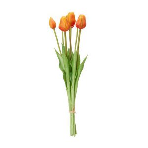 Tulpaner 7-pack orange